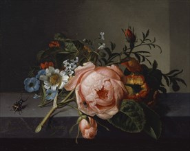 Still Life with Rose Branch, Beetle and Bee, 1741, oil on canvas, mounted on oak, 20 x 24.5 cm,