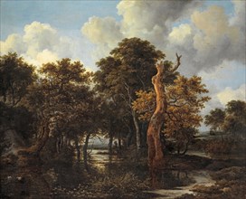 Woody swampy landscape with dead tree, c. 1665, oil on canvas, 59.9 x 74.2 cm, signed lower middle