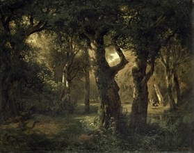 Forest Heart, 1850, oil on canvas, 43.3 x 54.2 cm, signed lower right: A. Calame fc, 1850,