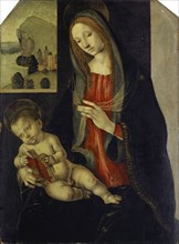 Madonna with Child, mixed media on wood, 80 x 59.5 cm, not specified, Filippino Lippi, (Schule /