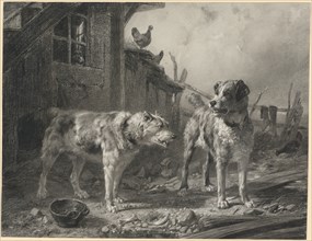 Neighboring dogs, 1852, litho crayon on paper pelé, leaf: 31.9 x 40.5 cm, U. r., signed and dated:
