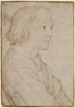 Portrait of a boy, around 1516, silver pencil, a little red chalk and elevations in white (nose,