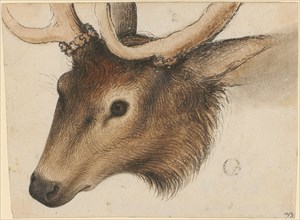 Deer head, brush and feather in black and brew, watercolored, sheet: 9.1 x 12 cm /12.5 cm, not