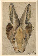 Rabbit from the front, pen in black, black and colored chalks, drawn by pencil, mounted, sheet: 22