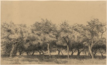 Verger Normand (Orchard in Normandy), c. 1867/75, black chalk, sheet: 19.4 x 32.6 cm, unsigned,