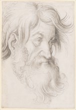 Head of a Bearded Man, to the right, Black Chalk, Leaf: 31.6 x 21.9 cm, Not referenced, Hans