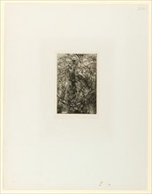 Branchages, o. D., etching, I, II (according to cat.-no. Paris 2000, no. 110), page: 32.6 x 25.3 cm