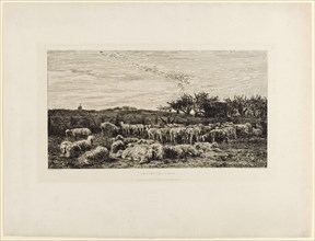 Le grand parc a moutons, le matin, (1860/62), etching, III, IV, sheet: 36.2 x 48 cm |, Plate: 21.9