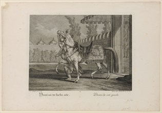 Divani from the left side, 1741, copperplate, sheet: 35.6 x 51.5 cm |, Plate: 28 x 38 cm, in the