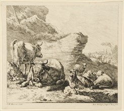 Bull and cow with goat and sheep, 1724-1728, etching, sheet: 27.8 x 31.2 cm |, Plate: 25.9 x 31.7