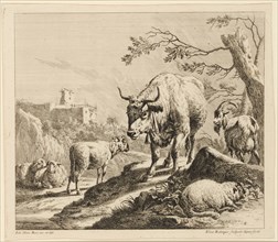 The Bull with the bell, 1724-1728, etching, sheet: 27.5 x 31 cm |, Plate: 26.8 x 31.3 cm, in the