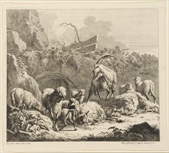 Goats, sheep and lambs, 1724-1728, etching, sheet: 28.2 x 31.1 cm |, Plate: 26.4 x 31.5 cm, In the