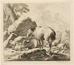 White horse and cow with foals and sheep, 1724-1728, etching, sheet: 27.8 x 32 cm |, Plate: 25.9 x