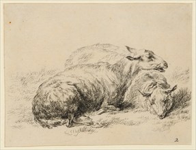 Two lying sheep, etching, sheet: 10.3 x 13 cm, in the plate u., r., numbered: 2, Nicolaes (Claes
