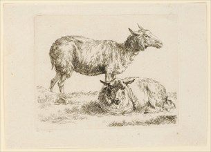 Standing and lying sheep, etching, sheet: 12.9 x 18.2 cm |, Plate: 10.3 x 13 cm, Not marked,