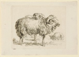 Two rams, etching, sheet: 13 x 18.5 cm |, Plate: 10.3 x 13 cm, Not marked, Nicolaes (Claes Pietersz