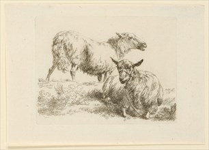 Standing and lying sheep, etching, sheet: 12.8 x 18.2 cm |, Plate: 9.9 x 13 cm, Not specified,