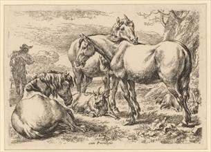 Three horses, 1679-1680, etching, sheet: 12.8 x 17.8 cm |, Plate: 12 x 17.1 cm, not marked,