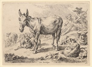 Donkey, 1679-1680, etching, sheet: 12.8 x 17.7 cm |, Plate: 12.1 x 17.2 cm, M. u., inscribed in the