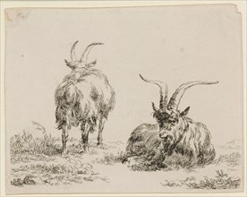 Standing and lying goat, etching, sheet: 10.5 x 13.2 cm |, Plate: 10.1 x 12.9 cm, Not specified,