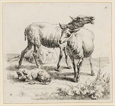 Blöfendes sheep with young, etching, sheet: 10.4 x 11.5 cm |, Plate: 10.1 x 11.2 cm, in the plate u