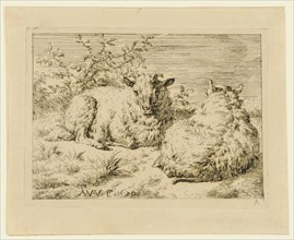 Two lying sheep, etching, sheet: 9.1 x 11.3 cm |, Plate: 7.3 x 9.9 cm, in the plate l., M. and.,