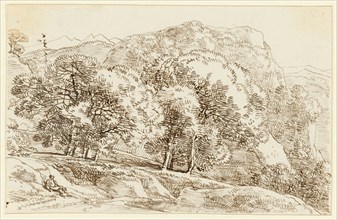 Woody landscape, a wandering hiker in front left, feather (sepia), leaf: 10.1 x 16.6 cm, Franz