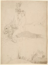 Venus on a Dolphin, Feather in Brown, Brown Washed, Journal: 30.1 x 22.1 cm, Unsigned, Albrecht