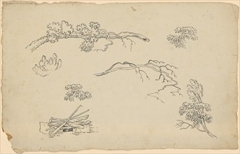 Character template: Six branch and foliage studies., Bottom left hearth with layered wood, feather,