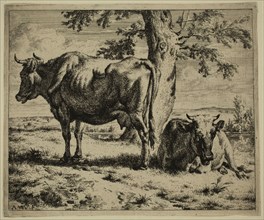 Adriaen van de Velde, Dutch, 1636-1672, Two Cows at the Foot of a Tree, between 1636 and 1672,