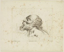 Stefano della Bella, Italian, 1610-1664, Head of an Old Man, ca. 1641, etching printed in black ink