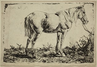 Phillips Wouwerman, Dutch, 1619-1668, Horse, 1643, etching printed in black ink on laid paper,