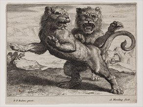 Abraham Blooteling, Dutch, 1640-1690, after Peter Paul Rubens, Flemish, 1577-1640, Lions, Plate 3,