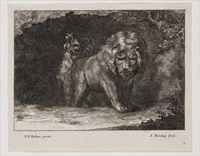 Abraham Blooteling, Dutch, 1640-1690, after Peter Paul Rubens, Flemish, 1577-1640, Lions, Plate 4,