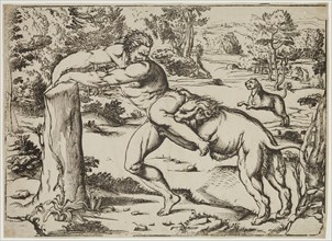 Niccolò Boldrini, Italian, 1510-1566, Milo Attacked by the Lions, between 1510 and 1566, woodcut