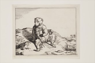 Marcus de Bye, Dutch, 1639 - 1690, after Paul Potter, Dutch, 1625 - 1654, Seated Bear Seen from the