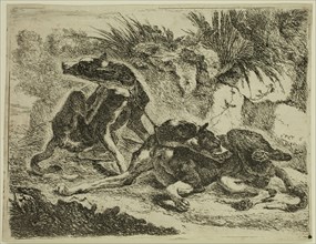 Jan Fyt, Flemish, 1611-1661, Two Greyhounds, 1642, etching printed in black ink on laid paper,