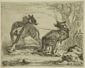 Jan Fyt, Flemish, 1611-1661, Two Greyhounds, 1642, etching printed in black ink on laid paper,
