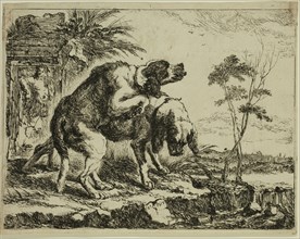 Jan Fyt, Flemish, 1611-1661, Two Dogs in the Act of Coupling, 1642, etching printed in black ink on