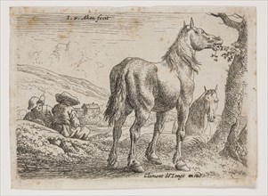 Jan van Aken, Dutch, 1614-1661, Horse Eating Leaves from a Tree, 17th century, etching printed in