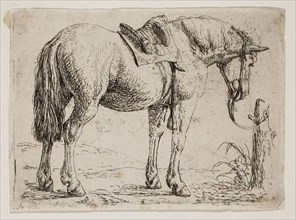 Jan van Aken, Dutch, 1614-1661, Saddled Horse, 17th century, etching printed in black ink on laid