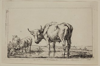 Jan, II Kobell, Dutch, 1778-1814, Standing Ox and Two Sheep, between 18th and 19th century, etching