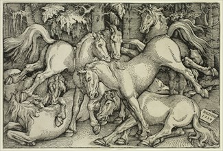 Hans Baldung Grien, German, 1484-1545, Group of Seven Horses, 1534, woodcut printed in black ink on