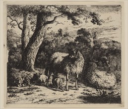 Jan van der Meer, the Younger, Dutch, 1656-1705, Standing Ewe Nursing a Lamb, 1685, etching printed
