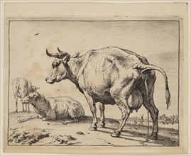 Paul Potter, Dutch, 1625 - 1654, Pissing Cow, 1650, etching and engraving printed in black ink on