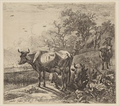 Paul Potter, Dutch, 1625 - 1654, Cowherd, 1649, etching and engraving printed in black ink on laid