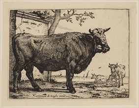 Paul Potter, Dutch, 1625 - 1654, The Bull, 1650, etching and engraving printed in black ink on laid