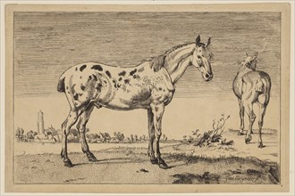 Anonymous Artist, after Paul Potter, Dutch, 1625 - 1654, The Cropped Horse, 1652, copy 1887,