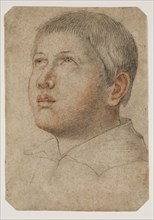 Unknown (Italian), Head of a Boy Looking Upward, ca. 1600, black and red chalk on buff laid paper,