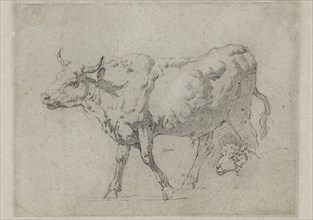 Jean Jacques de Boissieu, French, 1736-1810, An Ox and a Head of a Sheep, between 1736 and 1810,
